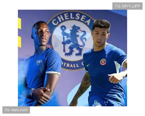 恩佐与赖斯：全能中场的战术定位差异与数据表现解析