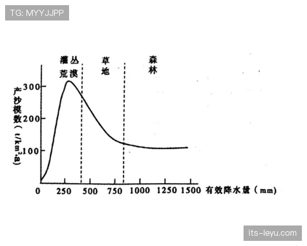 深入解析干扰球国际规则差异的判定标准与细节